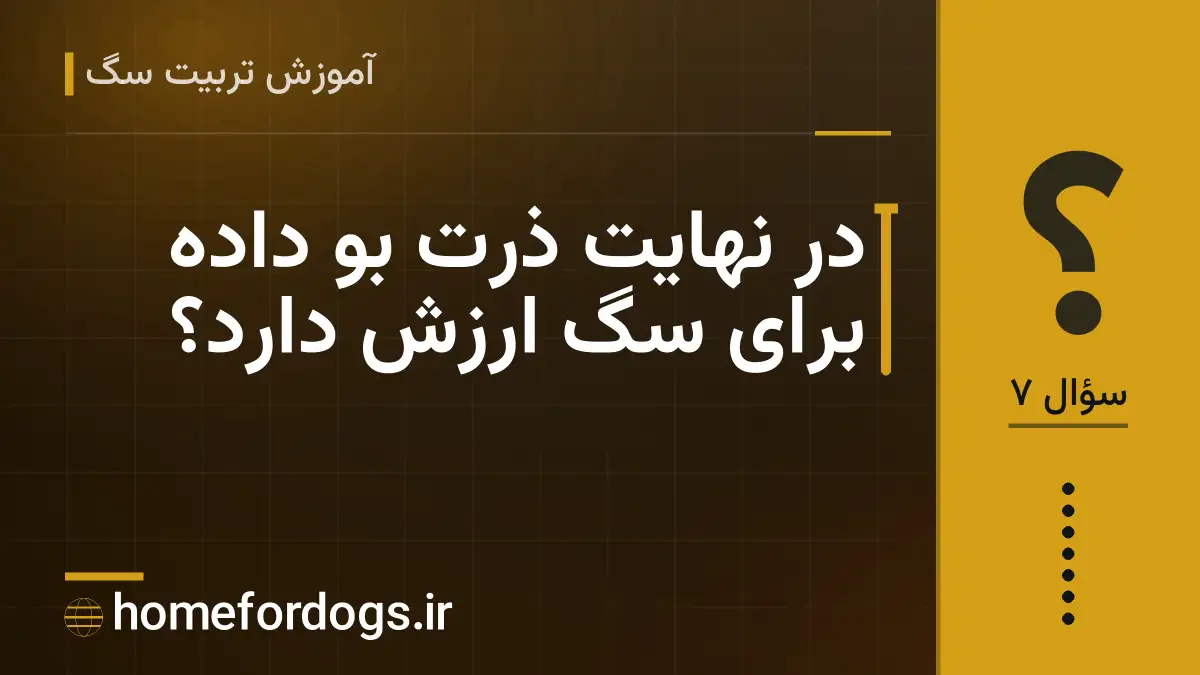 در نهایت ذرت بو داده برای سگ ارزش دارد؟