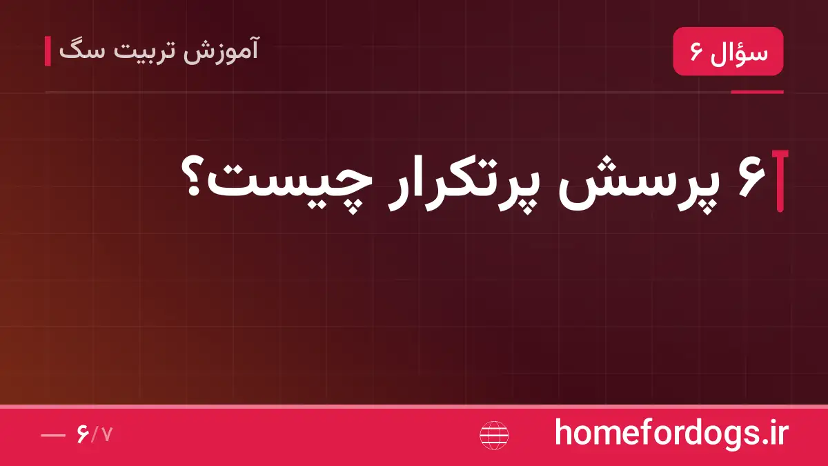 ۶ پرسش پرتکرار چیست؟