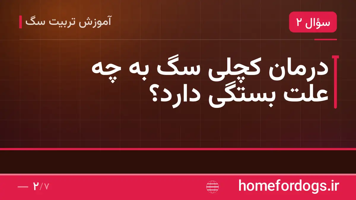 درمان کچلی سگ به چه علت بستگی دارد؟
