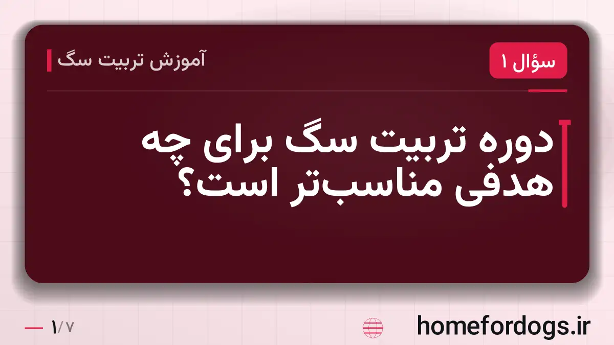 دوره تربیت سگ برای چه هدفی مناسب‌تر است؟