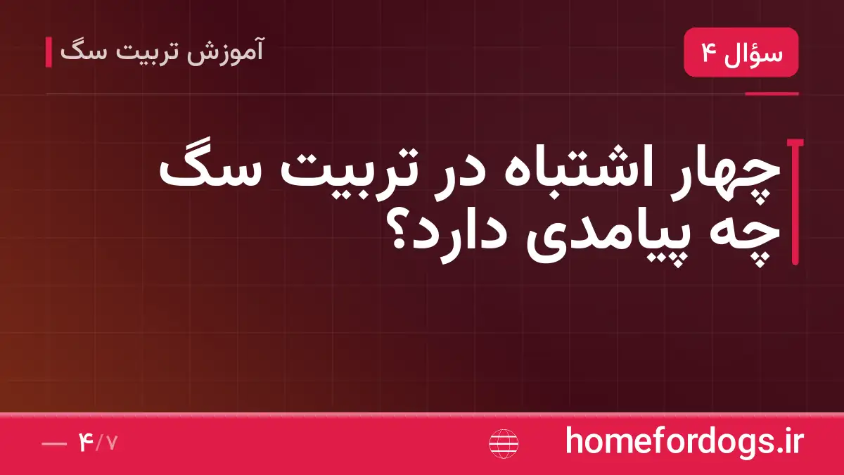 چهار اشتباه در تربیت سگ چه پیامدی دارد؟