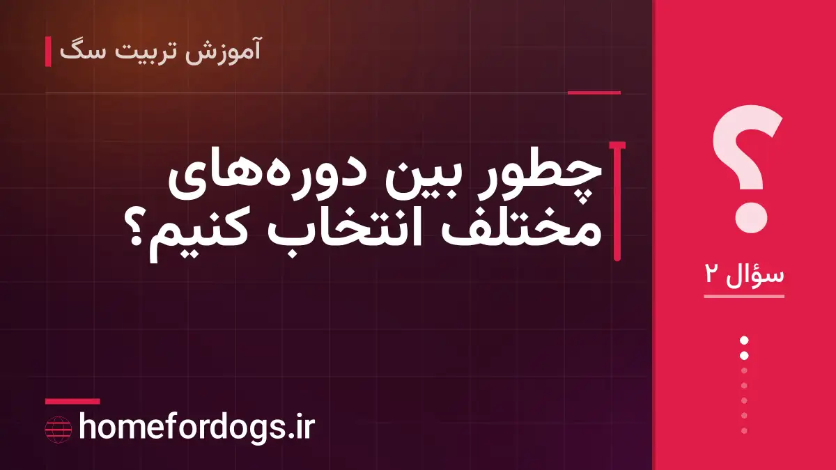چطور بین دوره‌های مختلف انتخاب کنیم؟