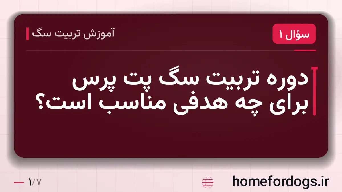 دوره تربیت سگ پت پرس برای چه هدفی مناسب است؟