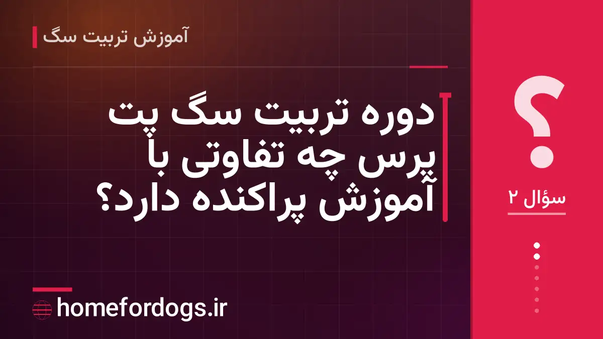 دوره تربیت سگ پت پرس چه تفاوتی با آموزش پراکنده دارد؟