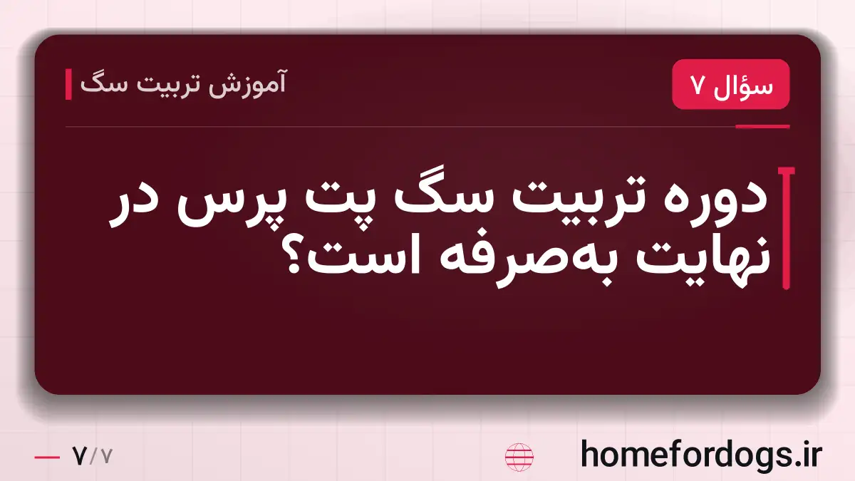 دوره تربیت سگ پت پرس در نهایت به‌صرفه است؟