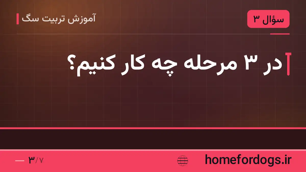 در ۳ مرحله چه کار کنیم؟