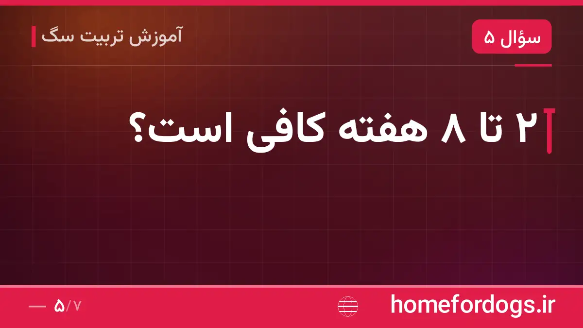 ۲ تا ۸ هفته کافی است؟