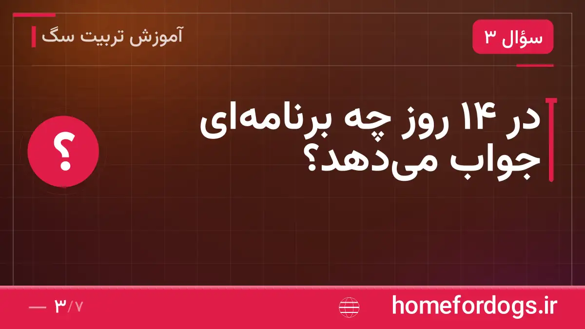 در ۱۴ روز چه برنامه‌ای جواب می‌دهد؟