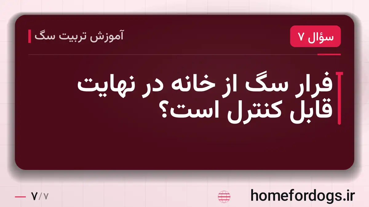 فرار سگ از خانه در نهایت قابل کنترل است؟
