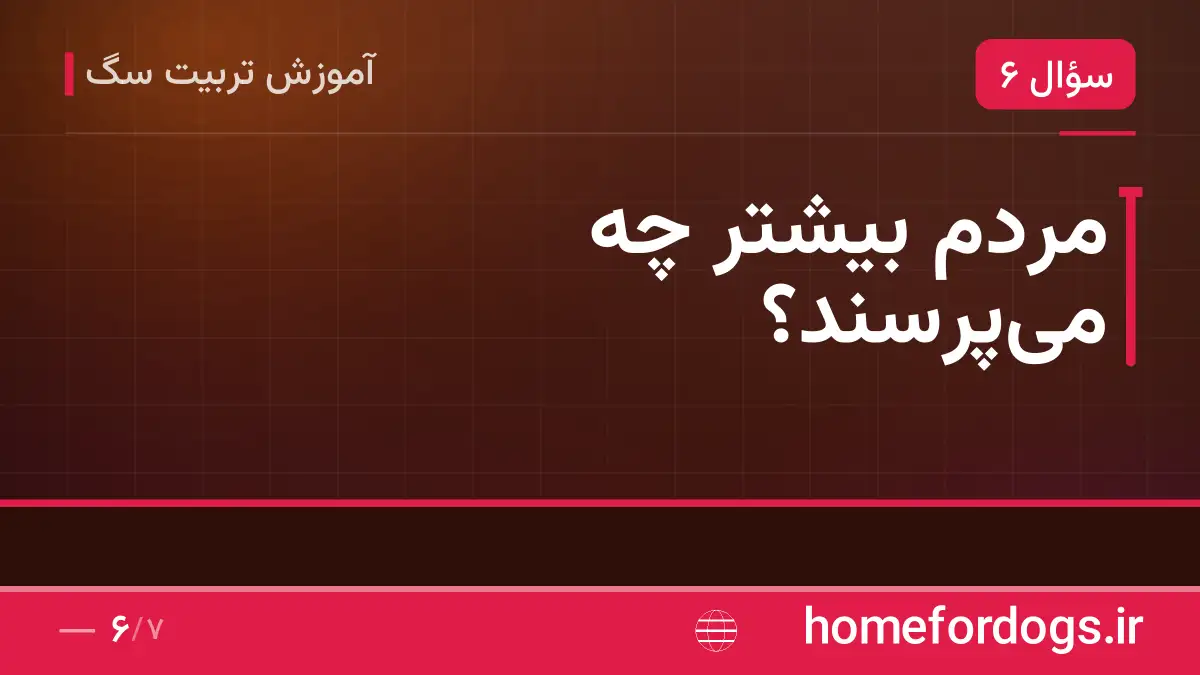 مردم بیشتر چه می‌پرسند؟