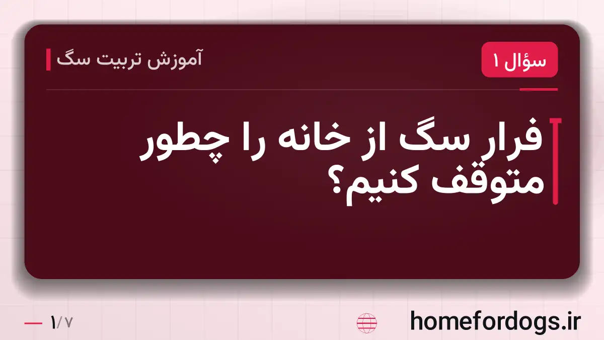 فرار سگ از خانه را چطور متوقف کنیم؟