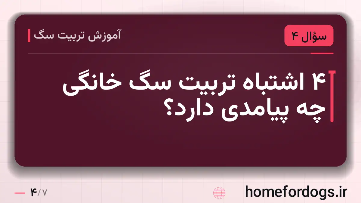۴ اشتباه تربیت سگ خانگی چه پیامدی دارد؟