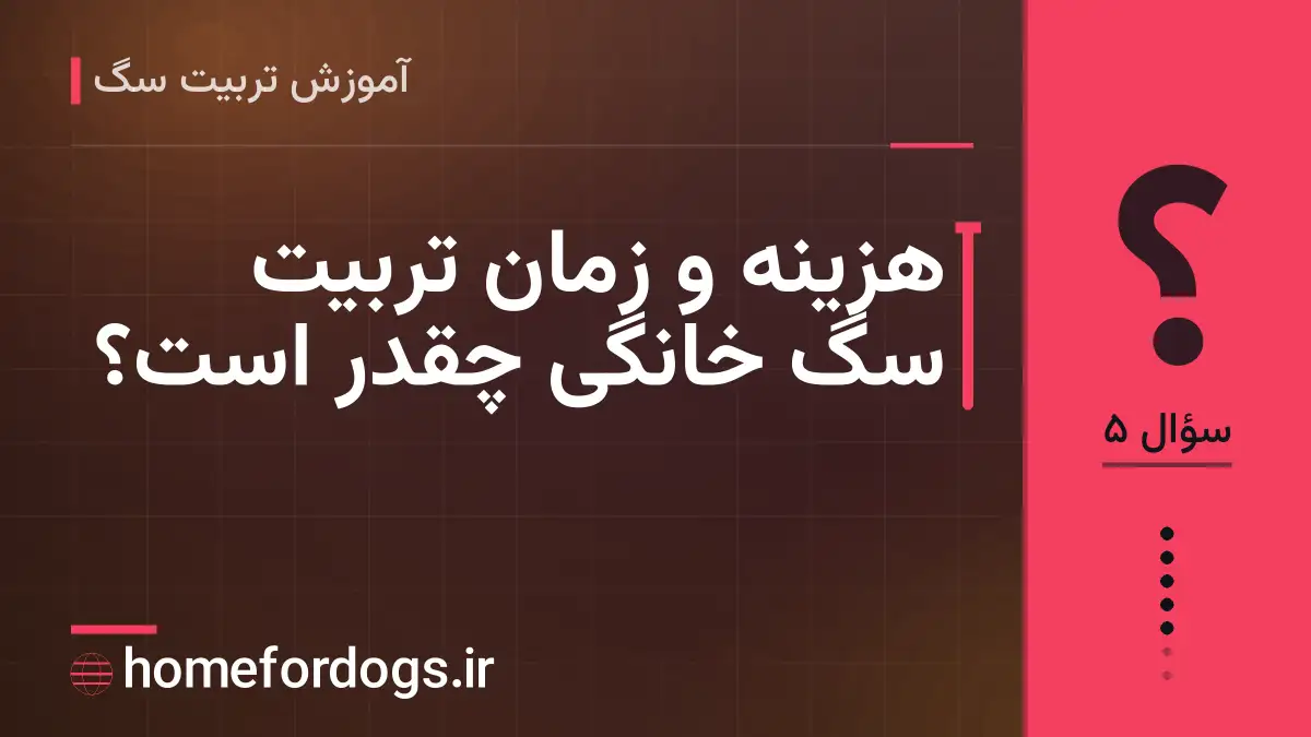 هزینه و زمان تربیت سگ خانگی چقدر است؟