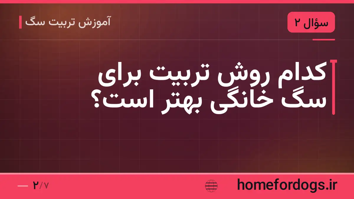 کدام روش تربیت برای سگ خانگی بهتر است؟