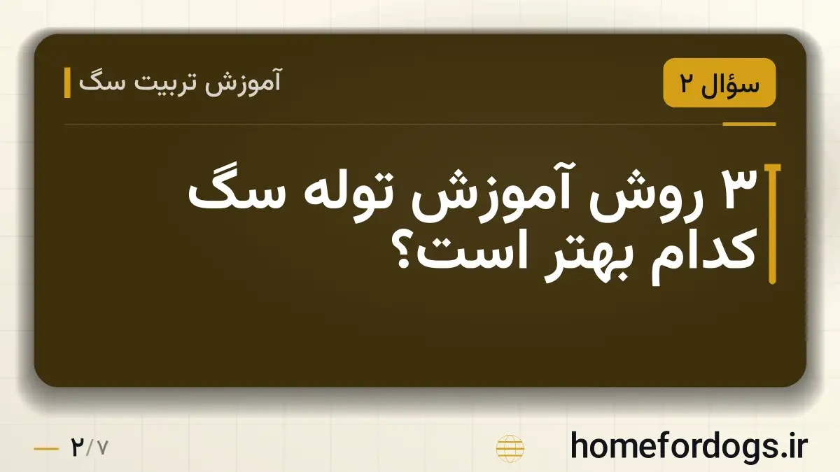 ۳ روش آموزش توله سگ کدام بهتر است؟