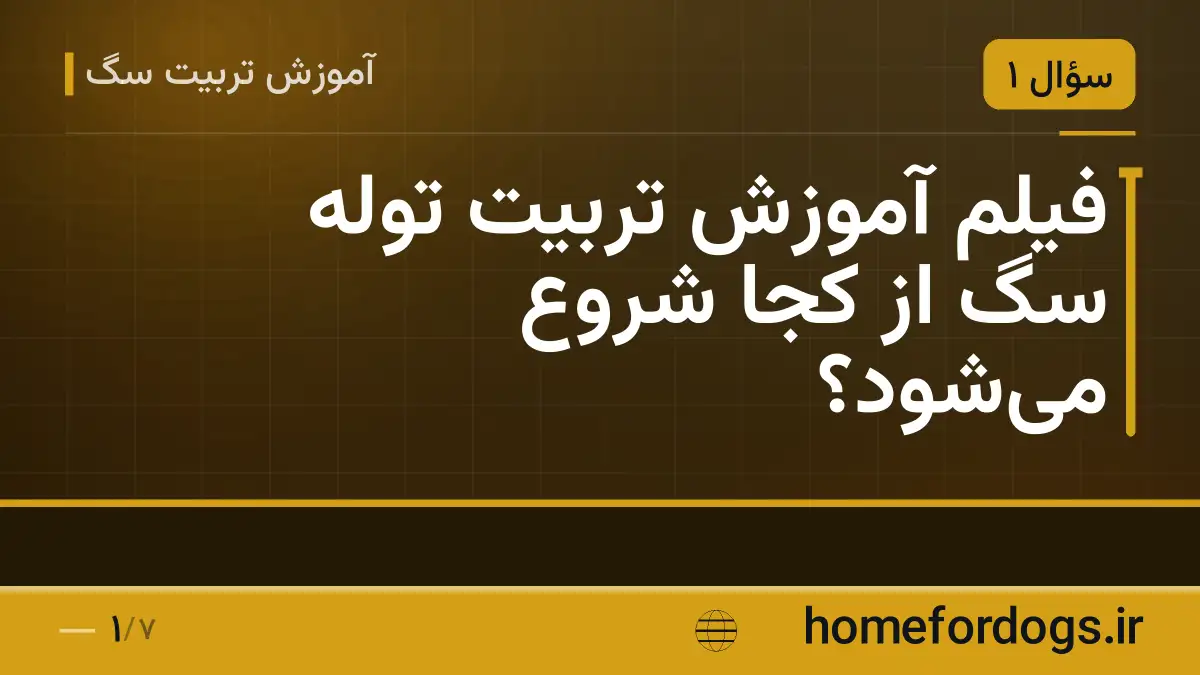 فیلم آموزش تربیت توله سگ از کجا شروع میشود؟