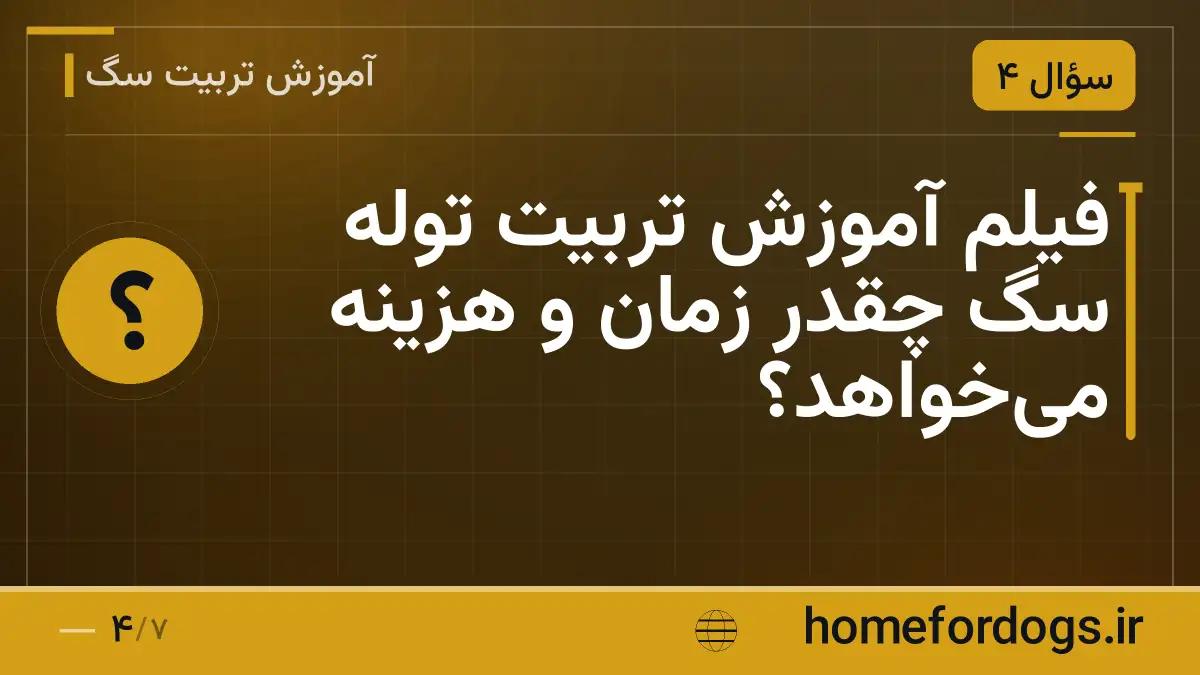 فیلم آموزش تربیت توله سگ چقدر زمان و هزینه میخواهد؟