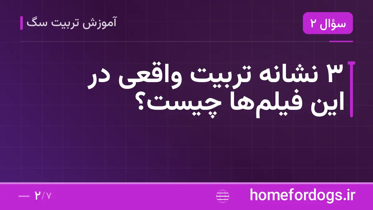 ۳ نشانه تربیت واقعی در این فیلمها چیست؟