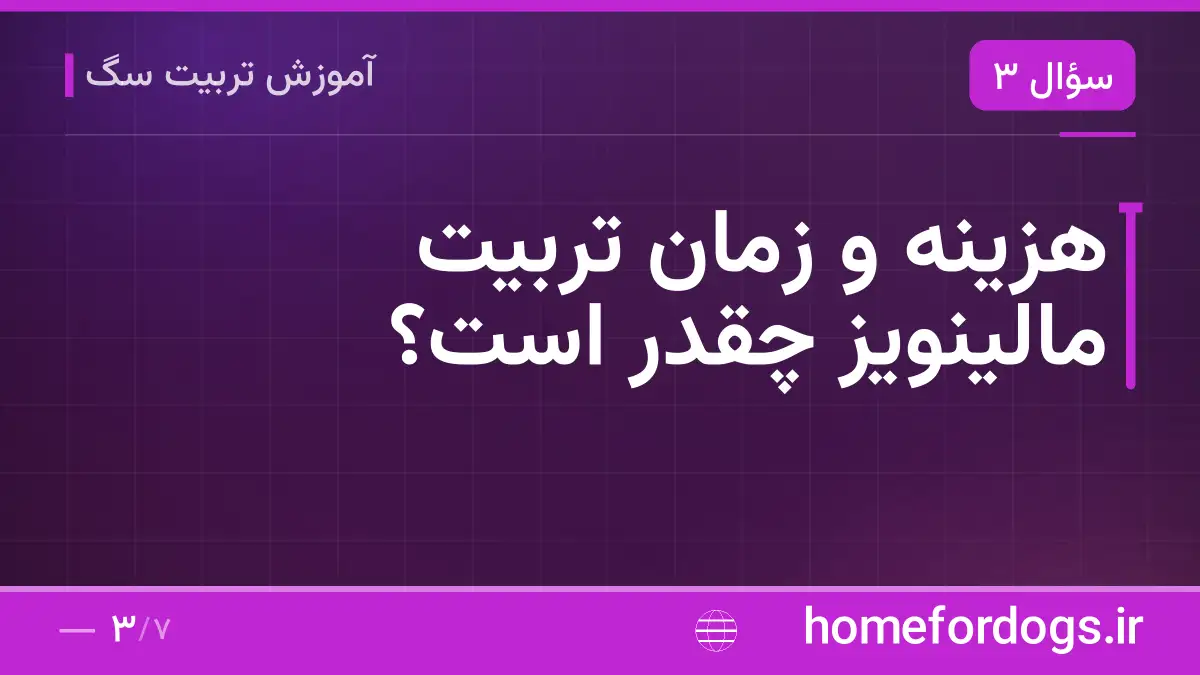 هزینه و زمان تربیت مالینویز چقدر است؟