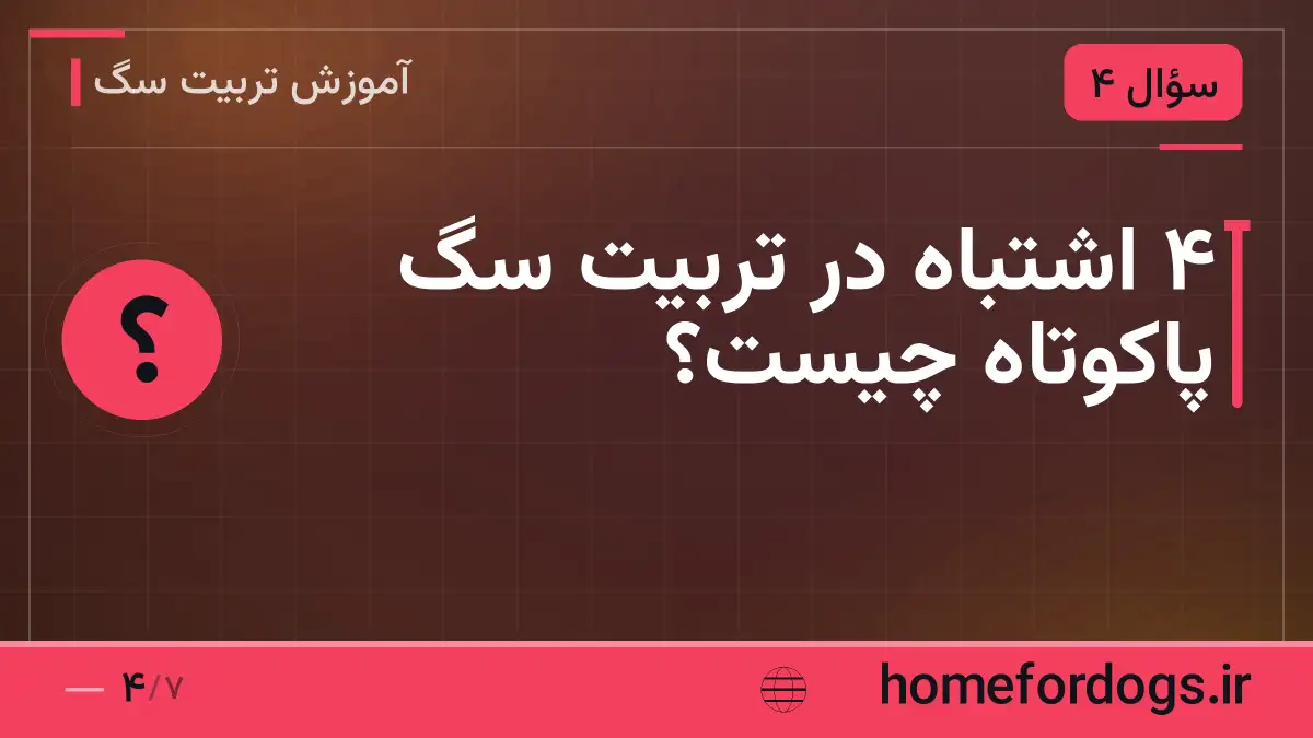 ۴ اشتباه در تربیت سگ پاکوتاه چیست؟