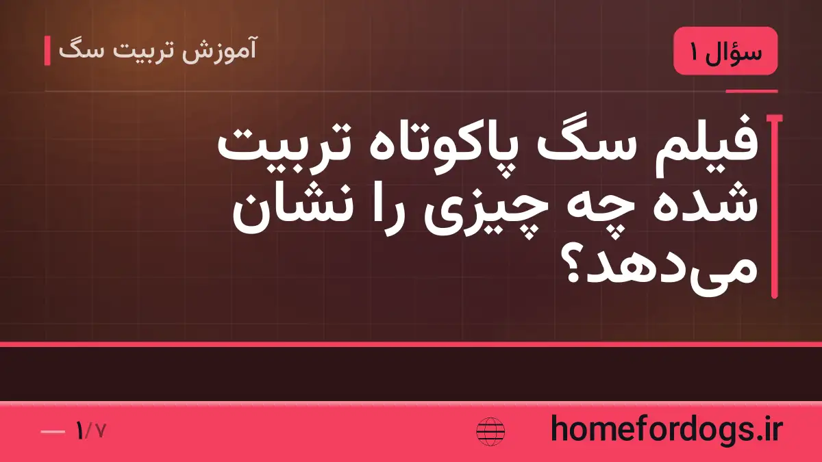 فیلم سگ پاکوتاه تربیت شده چه چیزی را نشان می‌دهد؟