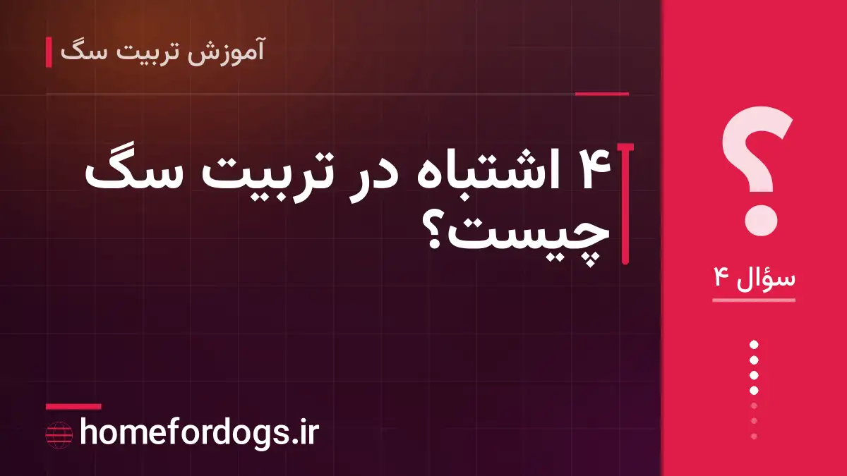 ۴ اشتباه در تربیت سگ چیست؟