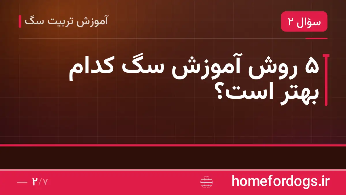 ۵ روش آموزش سگ کدام بهتر است؟