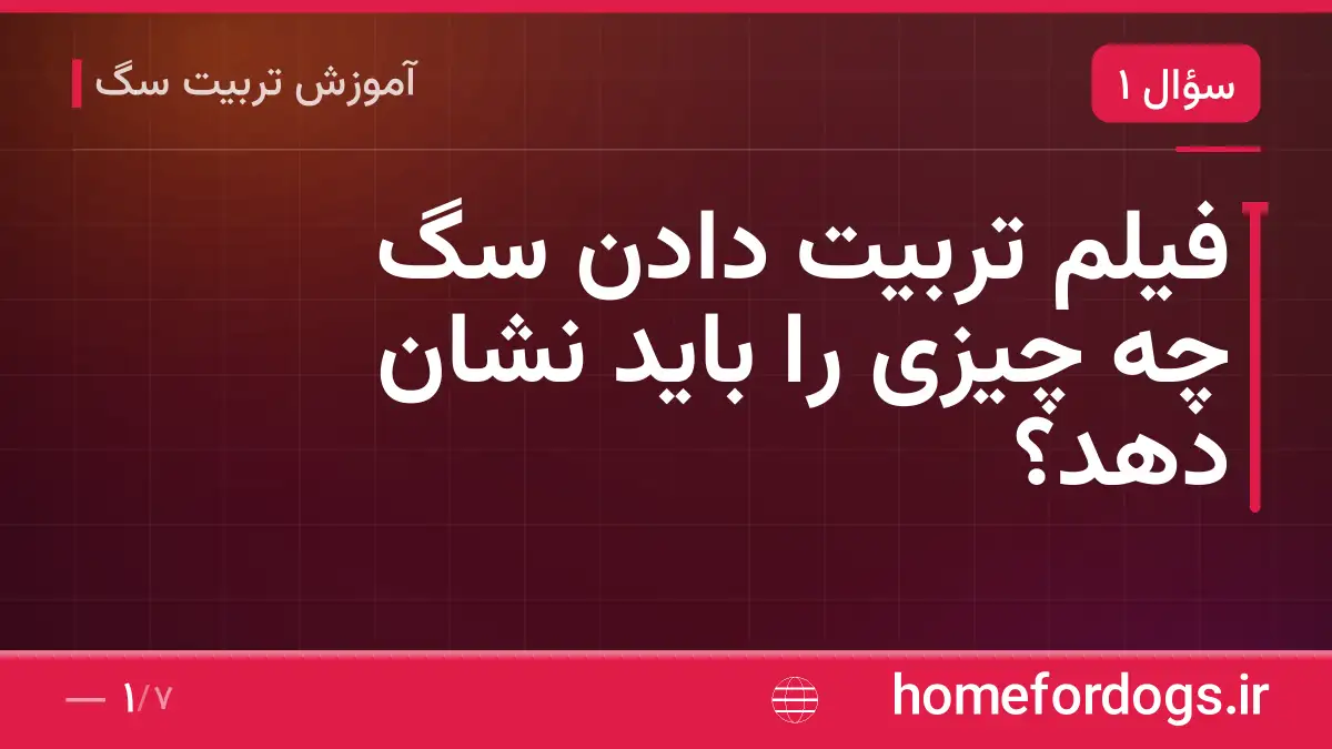 فیلم تربیت دادن سگ چه چیزی را باید نشان دهد؟
