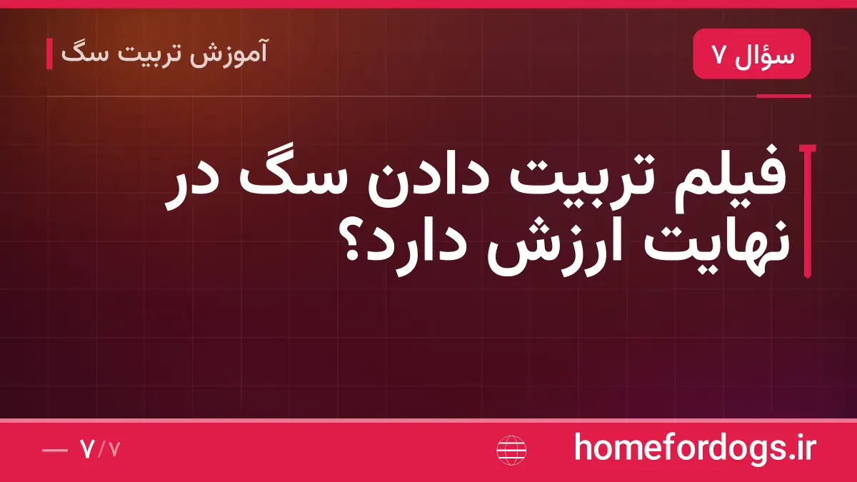 فیلم تربیت دادن سگ در نهایت ارزش دارد؟