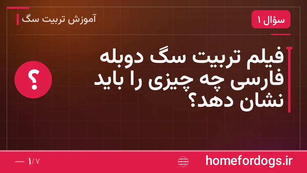 فیلم تربیت سگ دوبله فارسی چه چیزی را باید نشان دهد؟