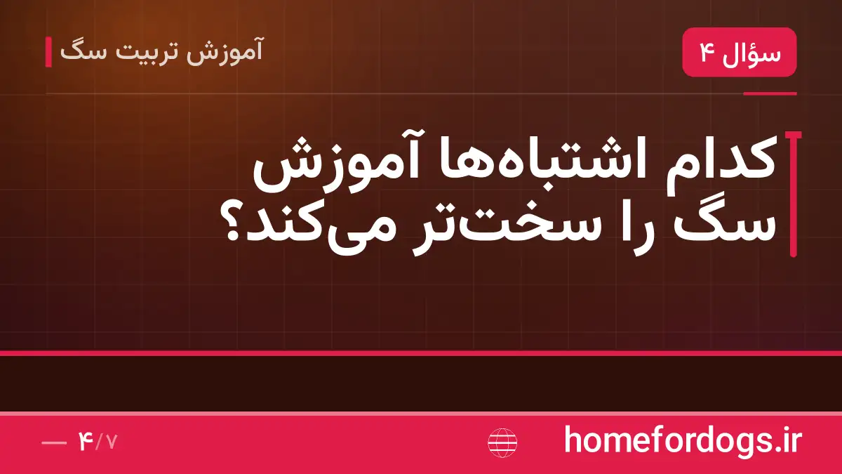 کدام اشتباهها آموزش سگ را سختتر میکند؟