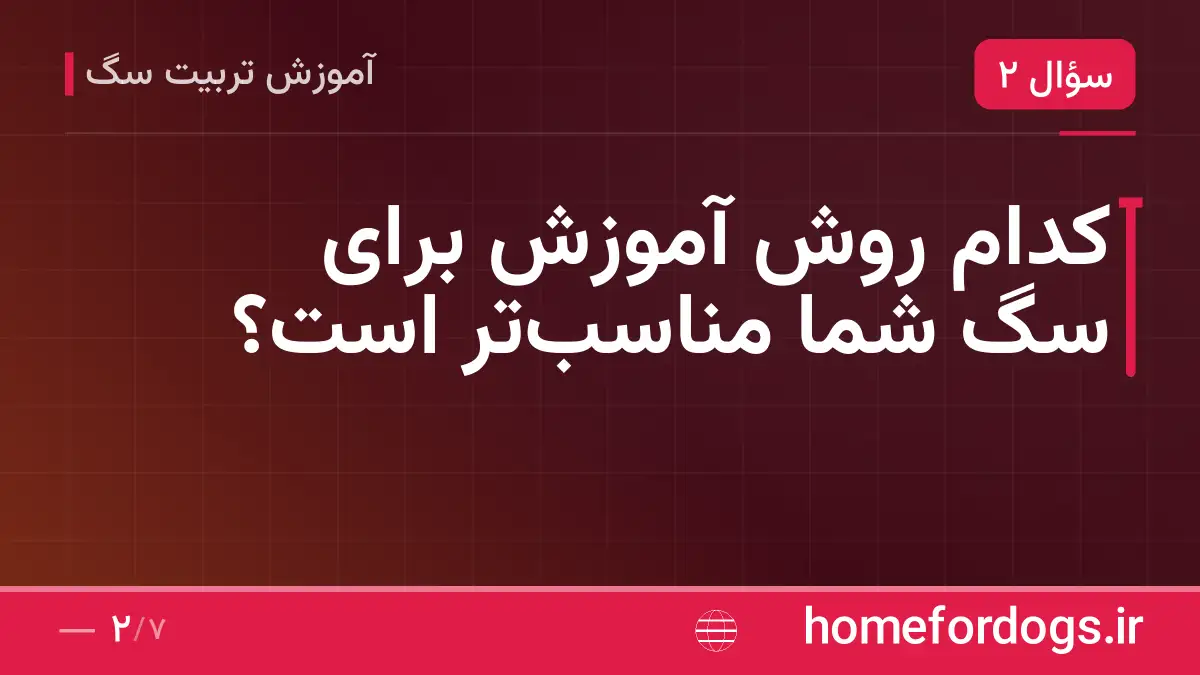 کدام روش آموزش برای سگ شما مناسبتر است؟