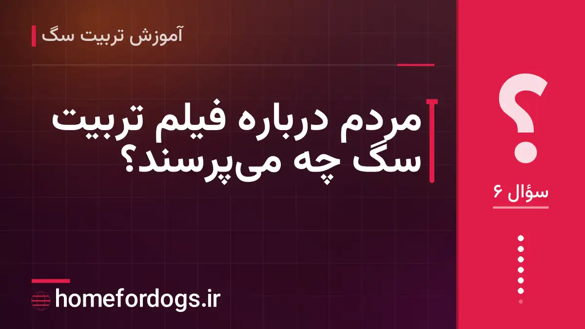 مردم درباره فیلم تربیت سگ چه میپرسند؟