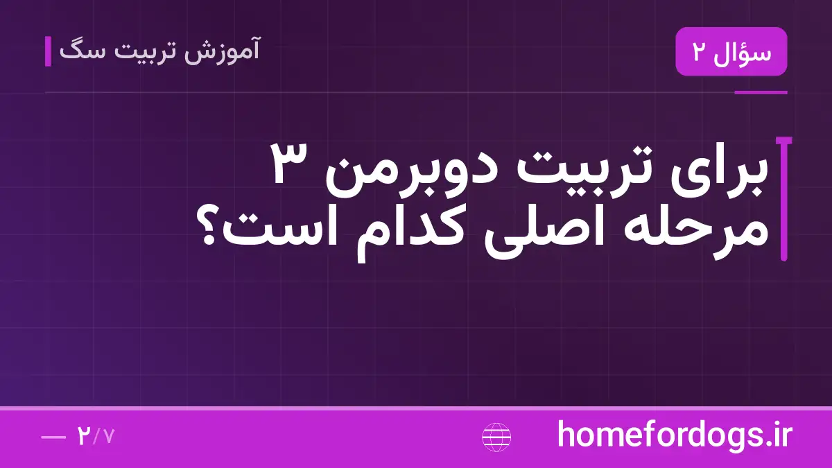 برای تربیت دوبرمن ۳ مرحله اصلی کدام است؟