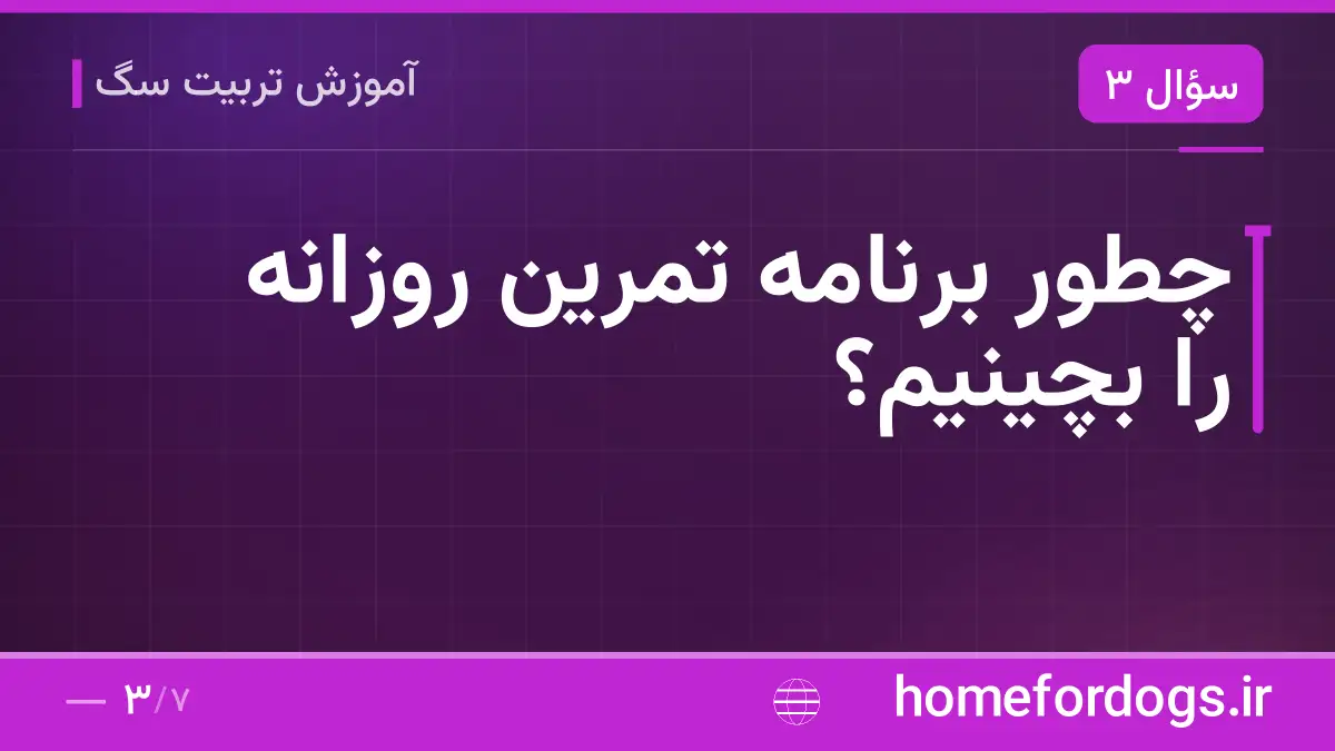 چطور برنامه تمرین روزانه را بچینیم؟