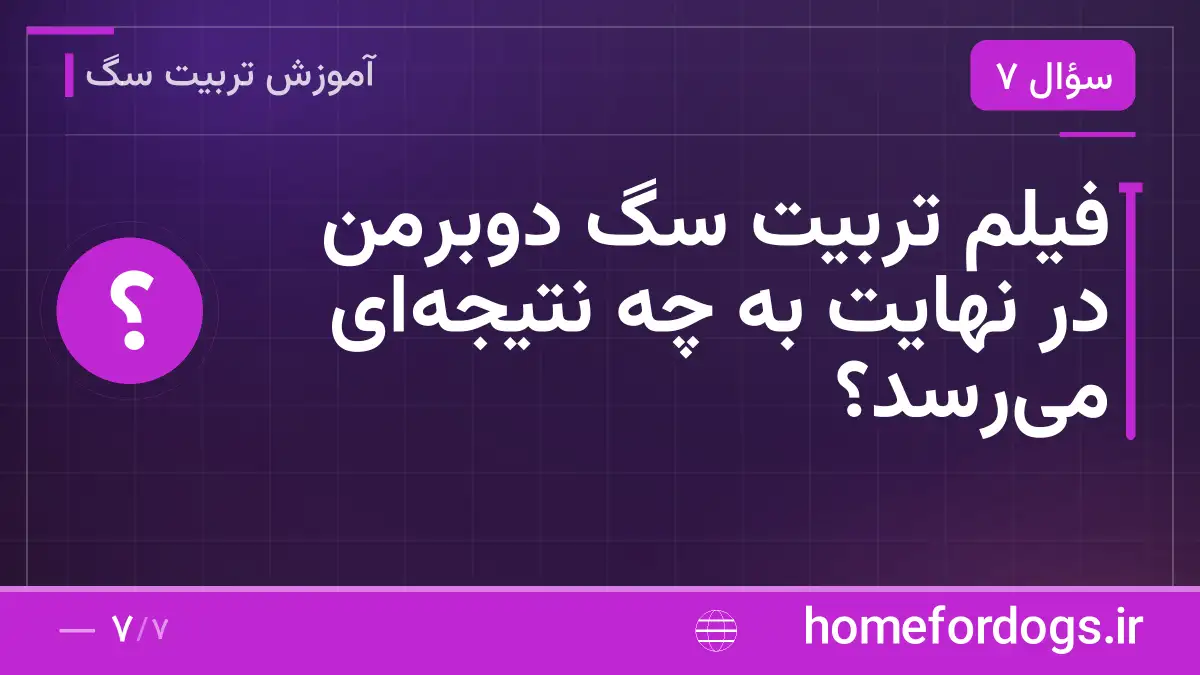 فیلم تربیت سگ دوبرمن در نهایت به چه نتیجه‌ای می‌رسد؟