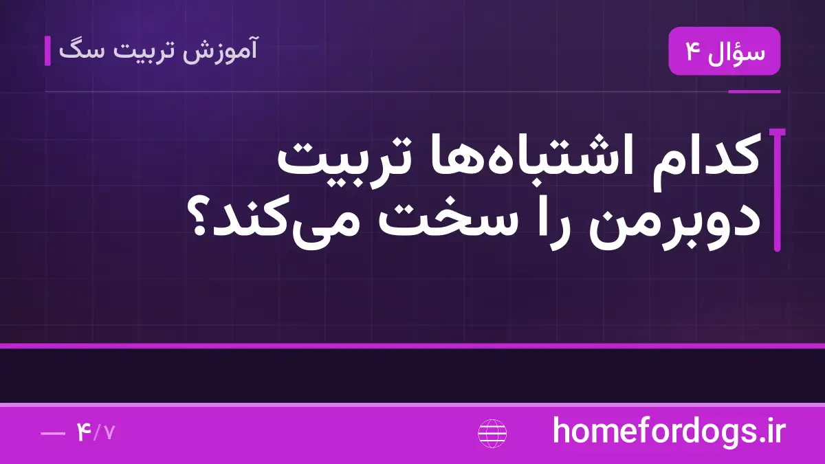 کدام اشتباه‌ها تربیت دوبرمن را سخت می‌کند؟