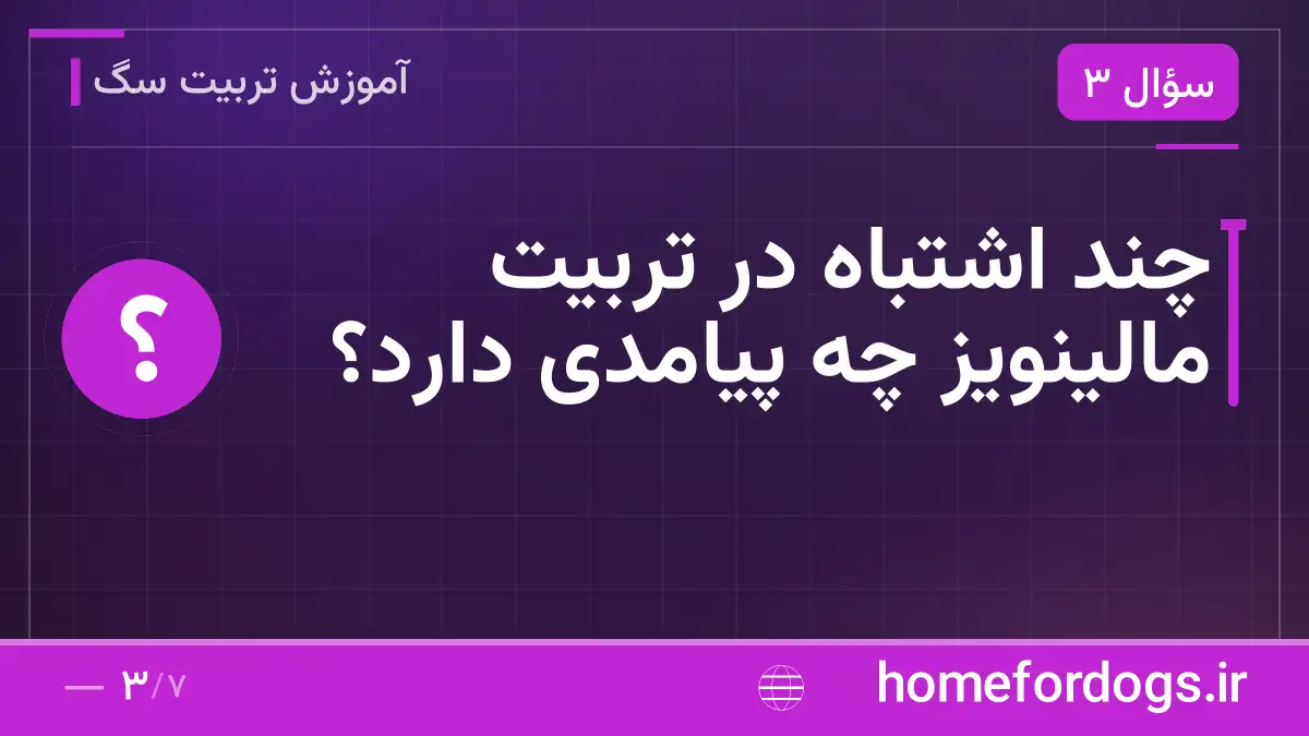 چند اشتباه در تربیت مالینویز چه پیامدی دارد؟