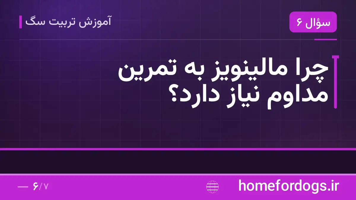 چرا مالینویز به تمرین مداوم نیاز دارد؟