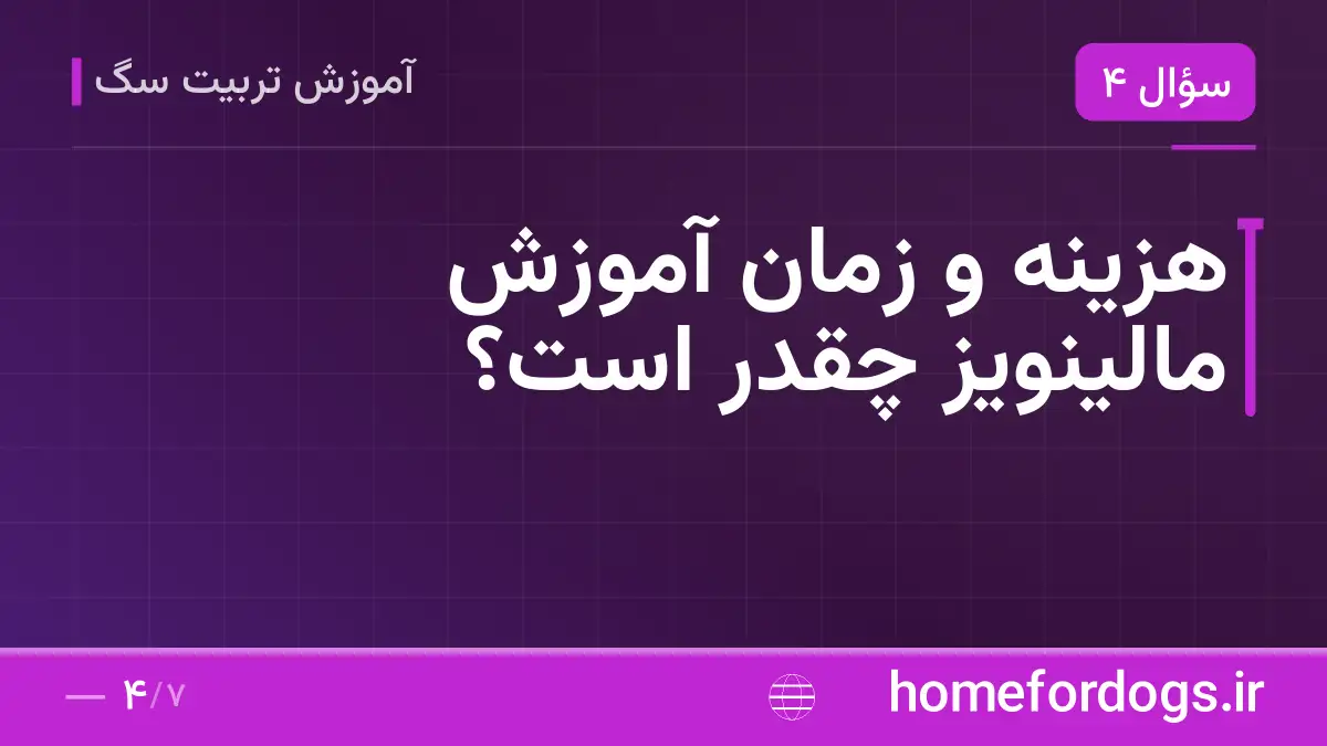 هزینه و زمان آموزش مالینویز چقدر است؟