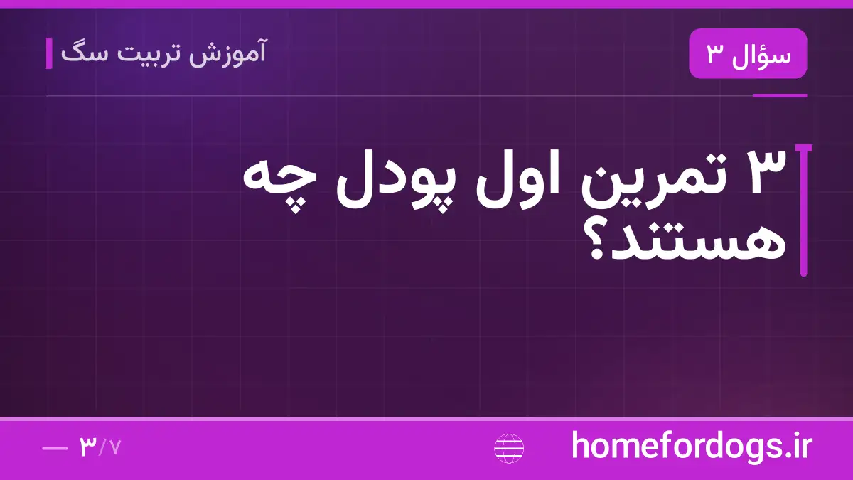 ۳ تمرین اول پودل چه هستند؟