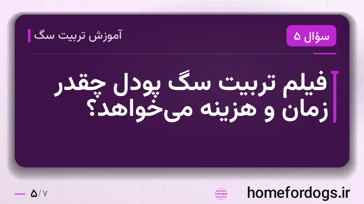 فیلم تربیت سگ پودل چقدر زمان و هزینه می‌خواهد؟