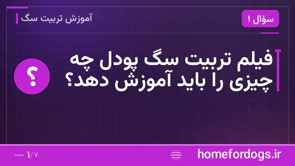 فیلم تربیت سگ پودل چه چیزی را باید آموزش دهد؟