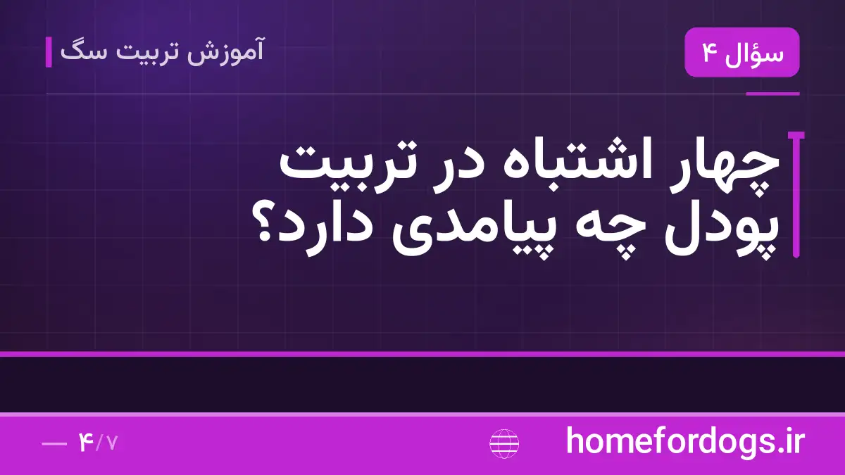 چهار اشتباه در تربیت پودل چه پیامدی دارد؟