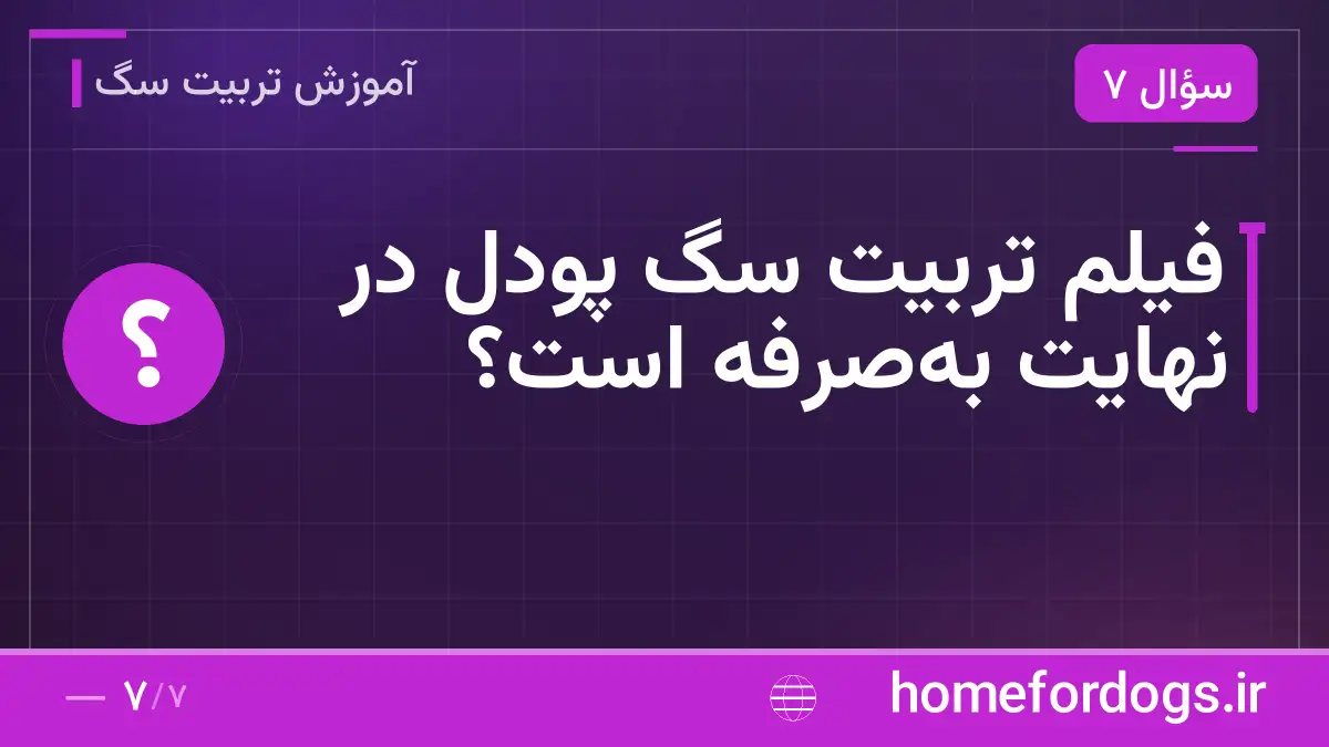 فیلم تربیت سگ پودل در نهایت به‌صرفه است؟