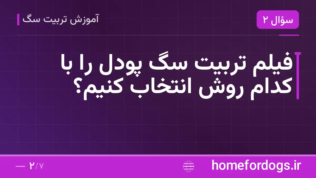 فیلم تربیت سگ پودل را با کدام روش انتخاب کنیم؟