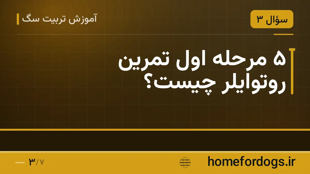 ۵ مرحله اول تمرین روتوایلر چیست؟