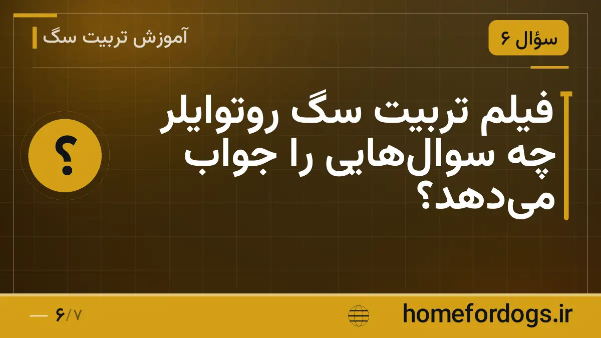 فیلم تربیت سگ روتوایلر چه سوال‌هایی را جواب می‌دهد؟