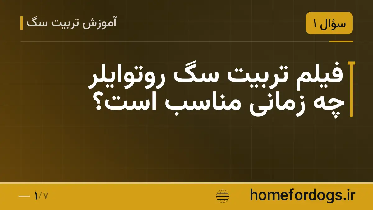 فیلم تربیت سگ روتوایلر چه زمانی مناسب است؟