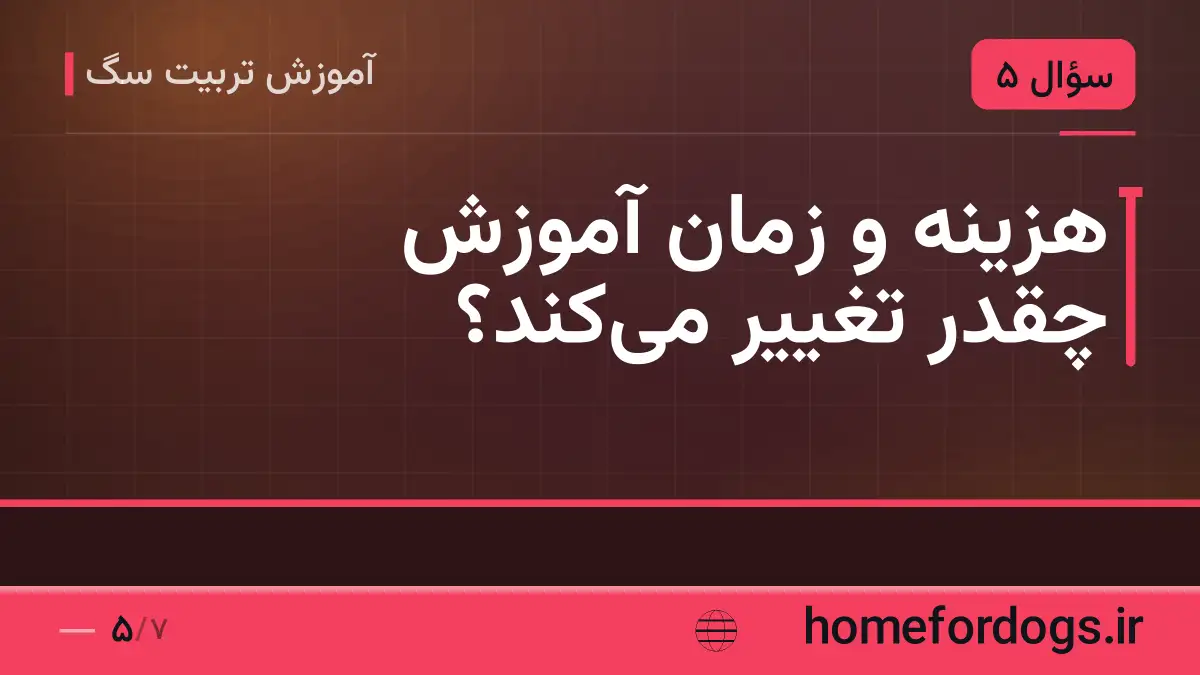 هزینه و زمان آموزش چقدر تغییر می‌کند؟